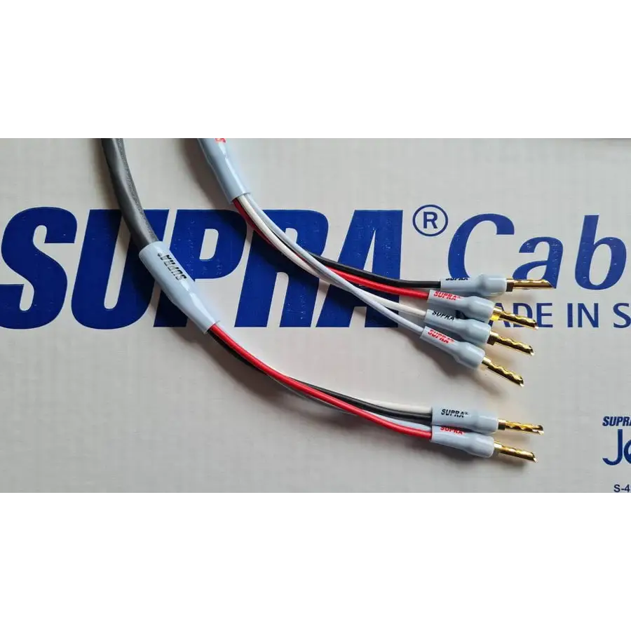 Hochwertige Hifi-Lautsprecherkabel mit goldplattierten Bananas für Technics C600 Stereoanlage