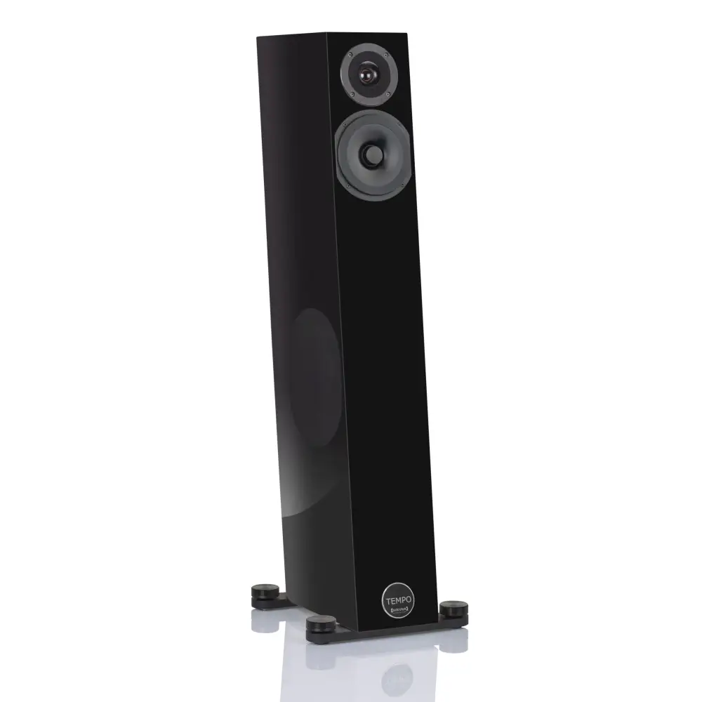 Audio Physic Tempo Paarpreis