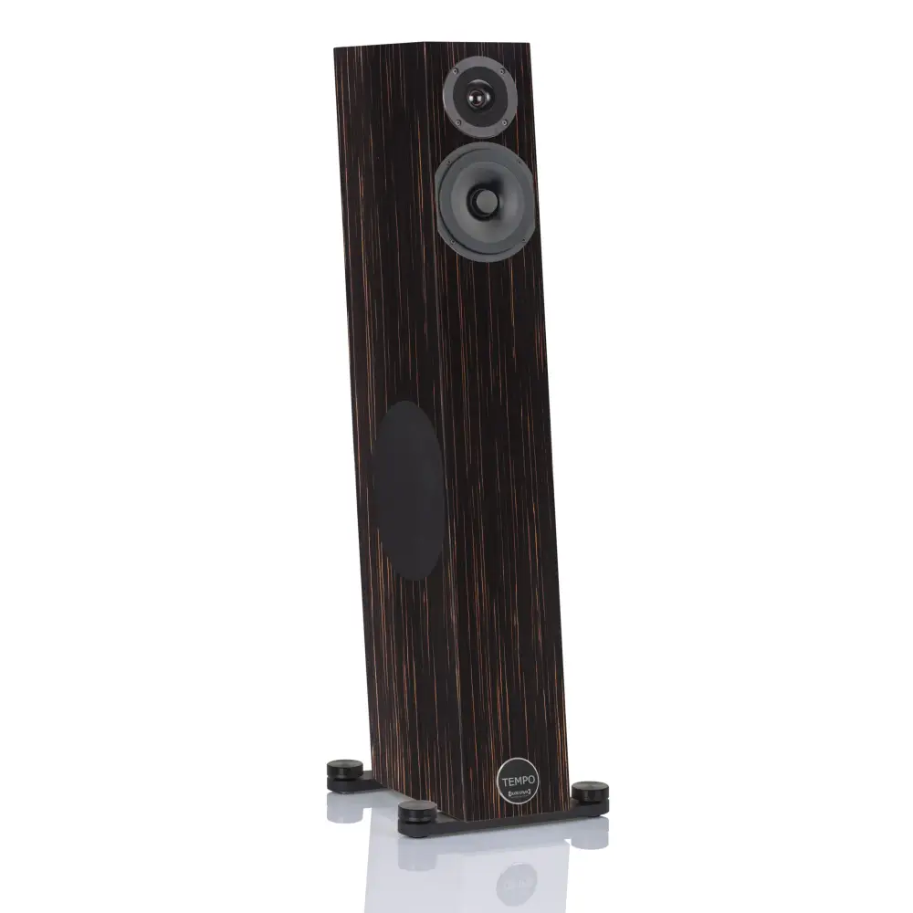 Audio Physic Tempo Paarpreis