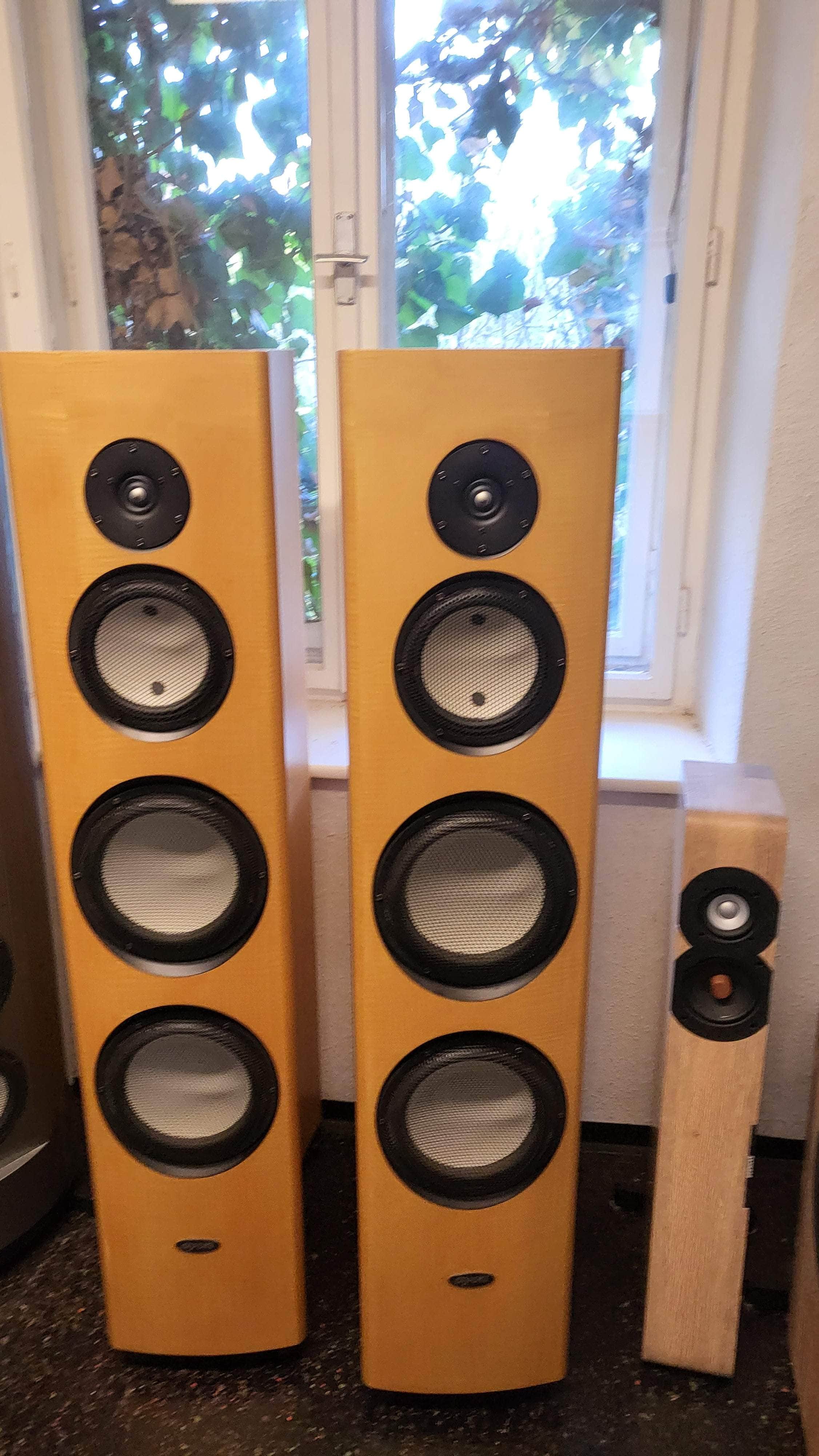 AYON AUDIO Austria AYon Eagle Paar