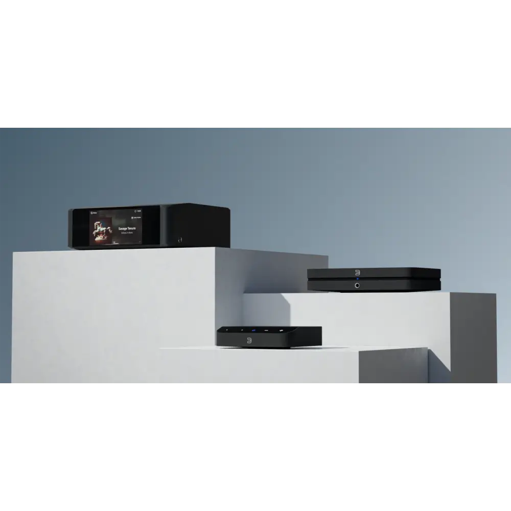 Bluesound Netzwerkplayer Bluesound NODE Nano