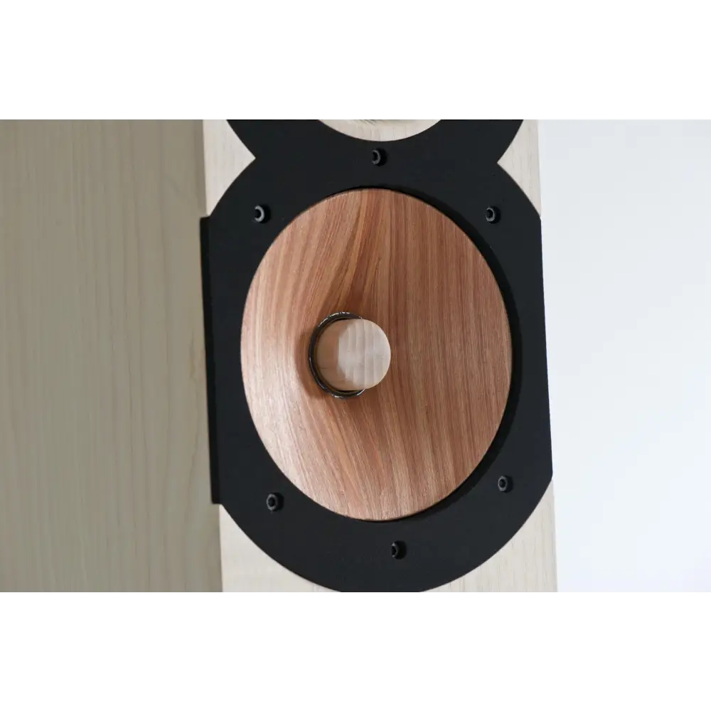 Lautsprecher mit schwarzem Rahmen und Holzmaserung-Konus, ideal für pass filter Anwendungen