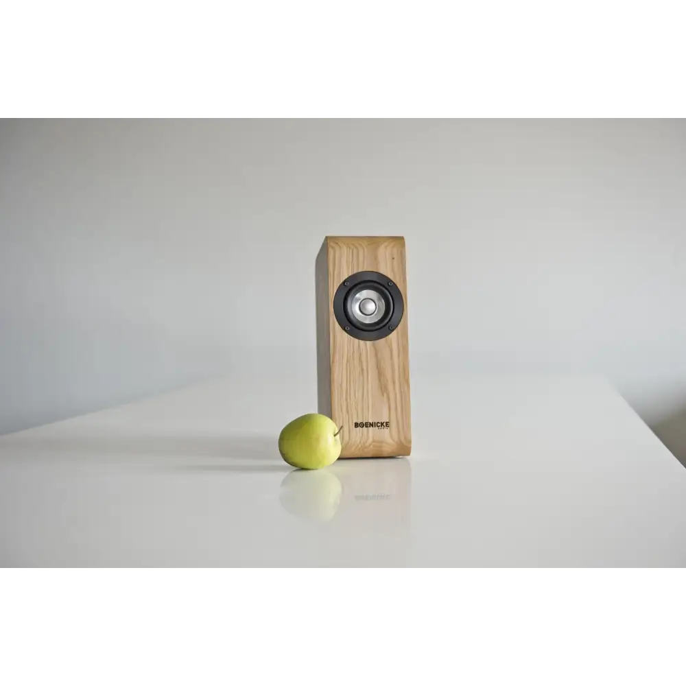 Holzlautsprecher W5SE mit sichtbarem Treiber und electromechanical parallel resonator