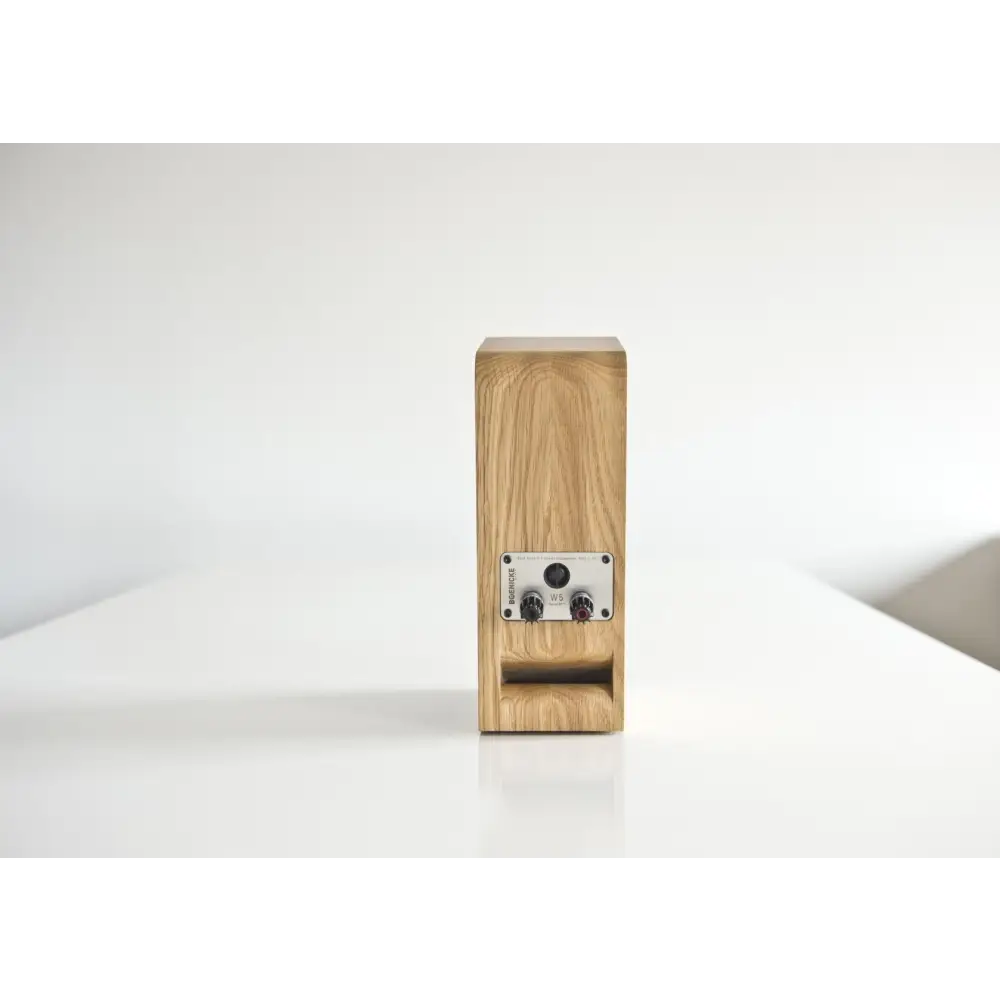 Lichtes Holzlautsprecher W5SE mit zwei Bedienelementen und Bassport, W5SE electromechanical parallel resonator