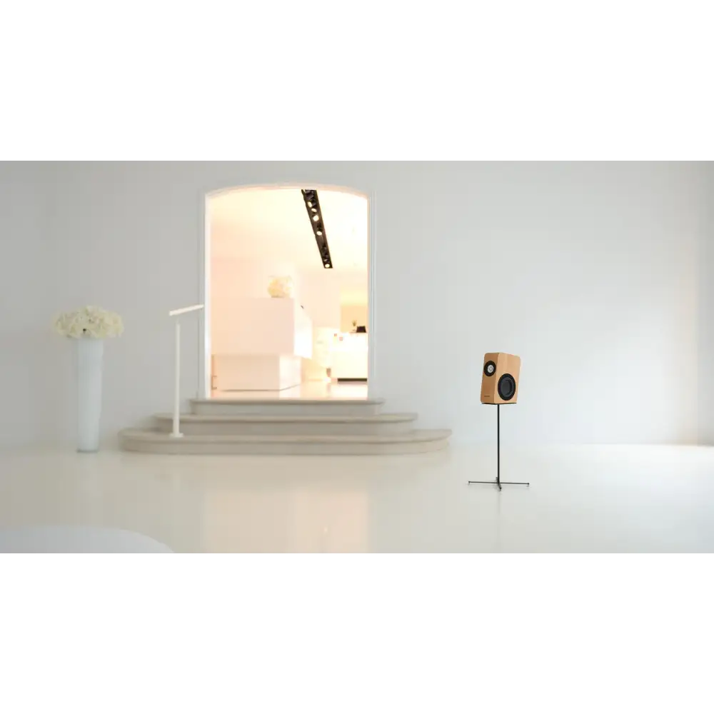 Light wood-grain stereo speaker on stand for Boenicke Audio W5 featuring electromechanical parallel resonator