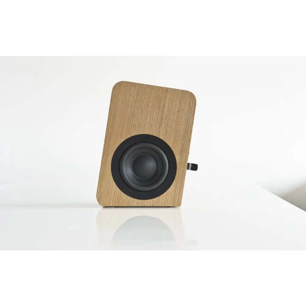 Holzlautsprecher mit schwarzem Kreisdigitaltreiber im Boenicke Audio W5, w5se, electromechanical parallel resonator