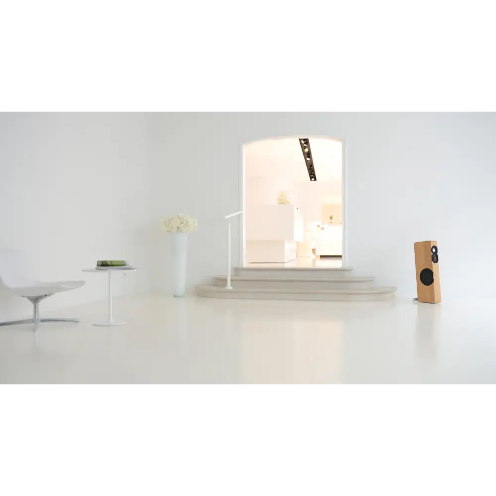 Moderner Lautsprecher mit Lichtholz-Finish, zwei Treiber, Passfilter und Parallelresonator