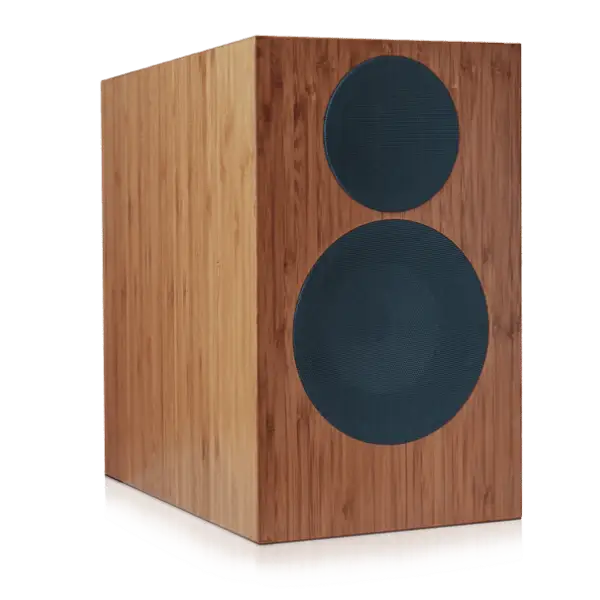 Brauner Holzlautsprecher mit zwei dunklen runden Gittern, DoAcoustics 201 Wood