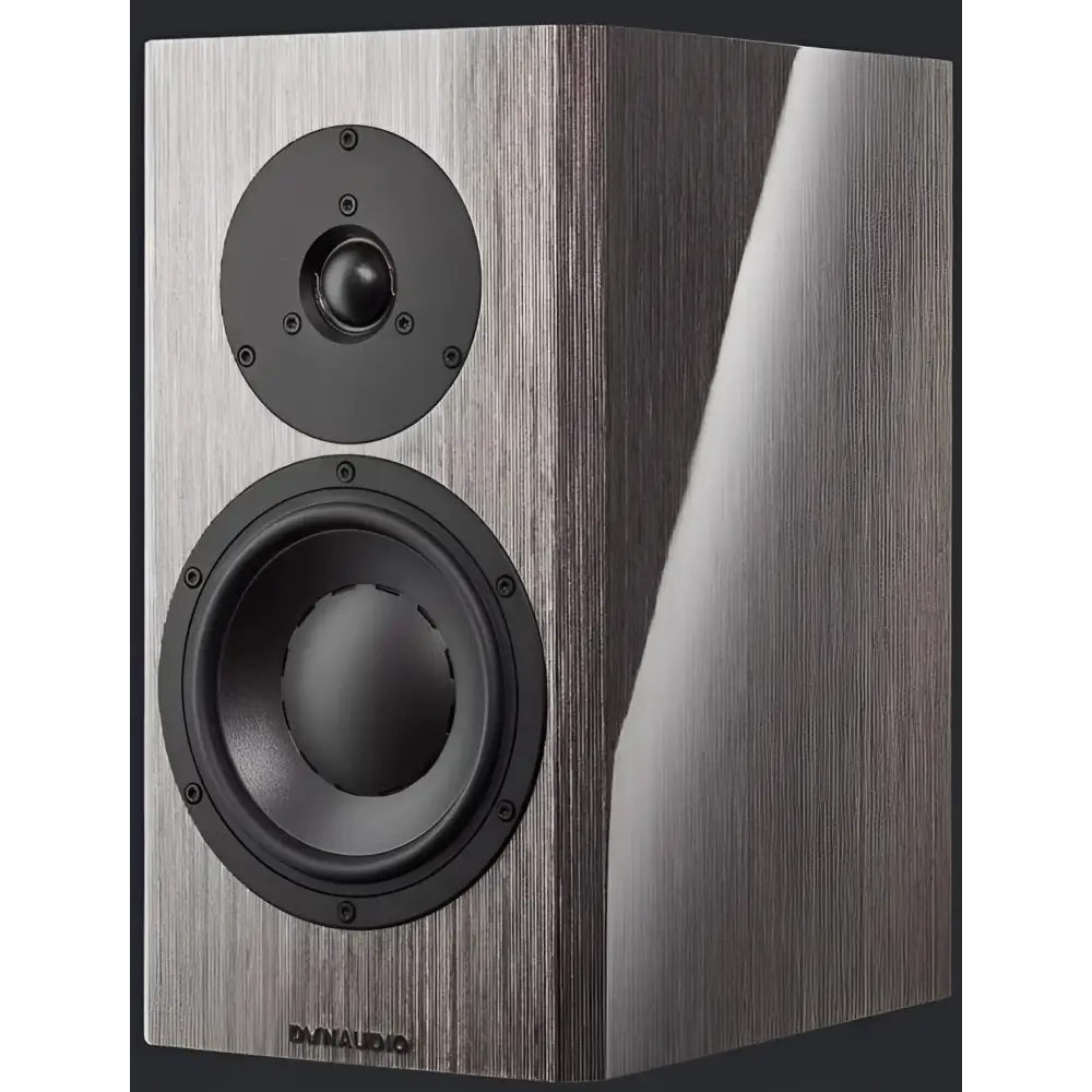Dynaudio Special Forty Lautsprecher mit dunklem Finish, Hoch- und Tieftöner, was hi-fi