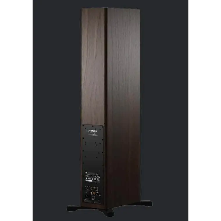 Dynaudio HIFI STEREO „Walnut Wood“ FOCUS 30 AKTIVBOXEN PAAR