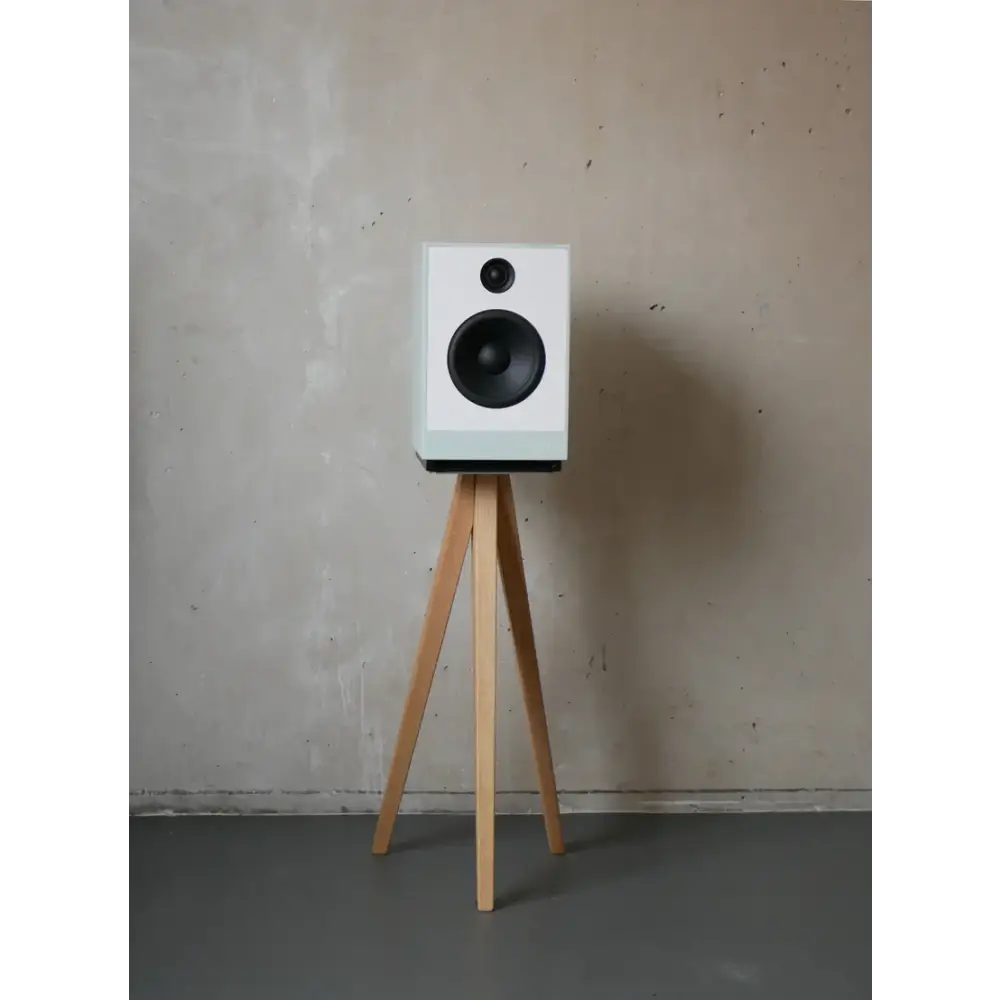 Guru Audio Lautsprecher Guru 8