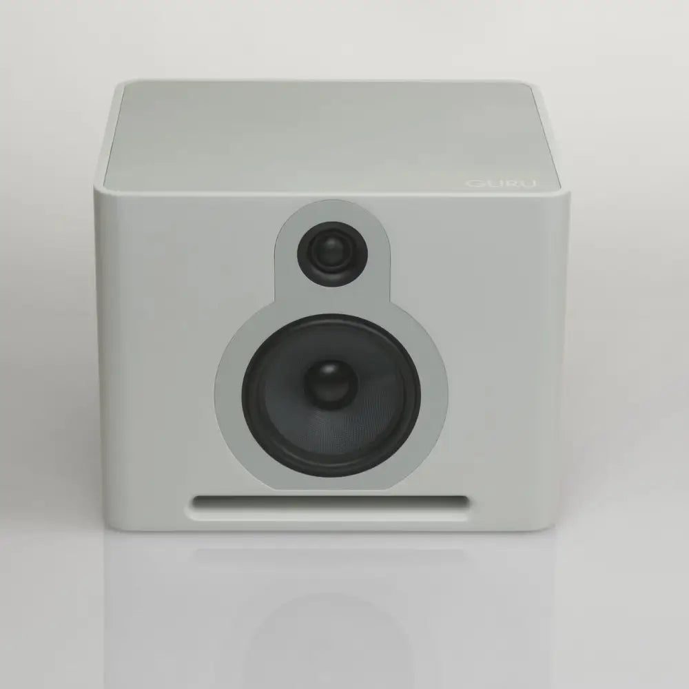 guruproaudio Lautsprecher Paar weiß GURU Q10 weiß secondhand PAAR