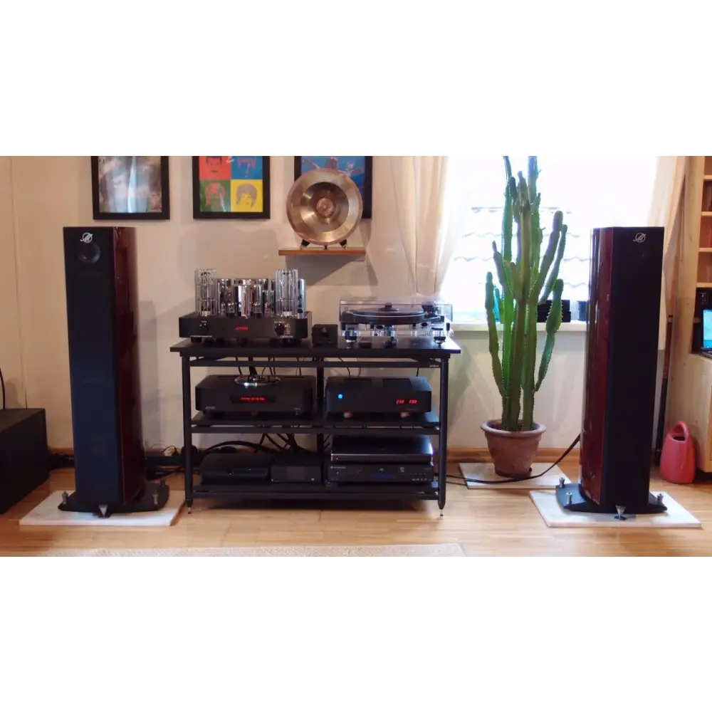 Hochwertiges Audiosystem mit Bodenständern, Röhrenverstärker und Plattenspieler in tollen photos verschiedener kundenanlagen