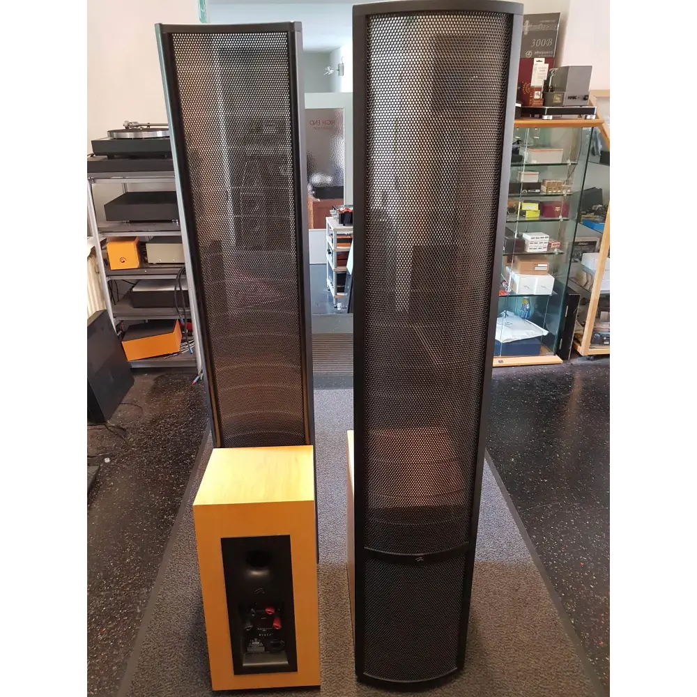 Martin Logan Martin Logan Vista secondhand