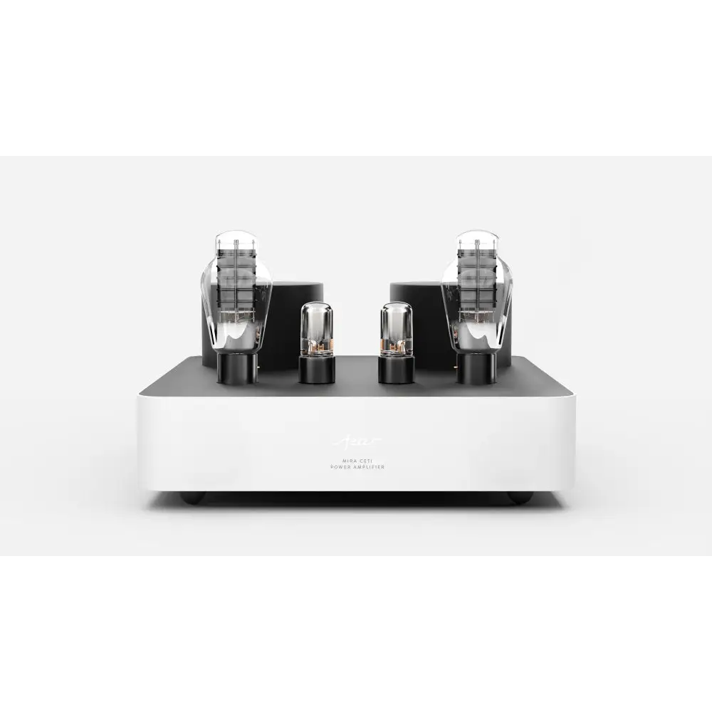 fezz audio Endstufe silber MIRA CETI EVO Monoblock Stückpreis