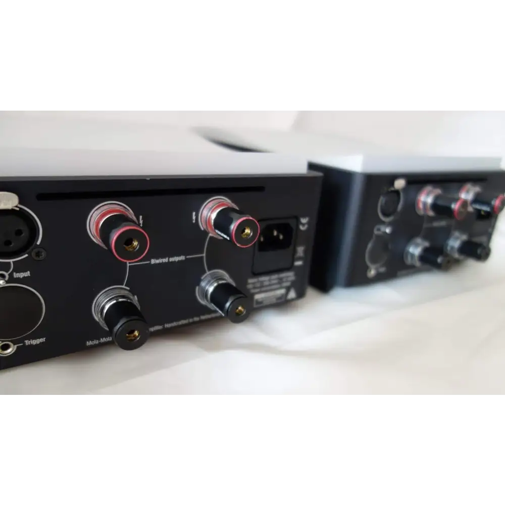Siehe Fotos der MOLA MOLA Kaluga Monoblöcke mit Anschlüssen und Impedanzdetails