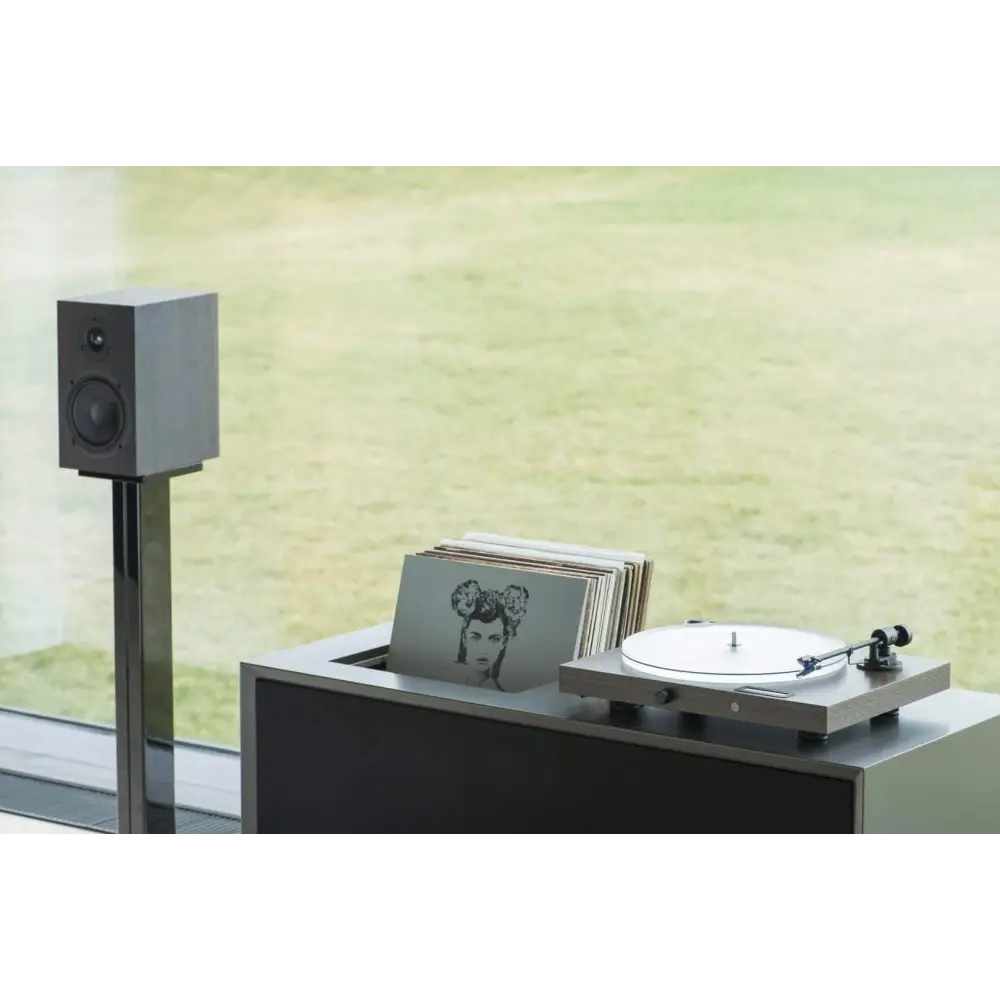 Modernes graues Projekt Jukebox s2 mit Vinylplatten, bahnbrechender Juke Box Sound