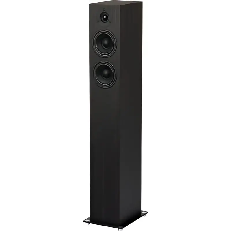 Black Floor-Standing Speaker mit mehreren Treibern für besten Klang, Hifi Stereoanlage