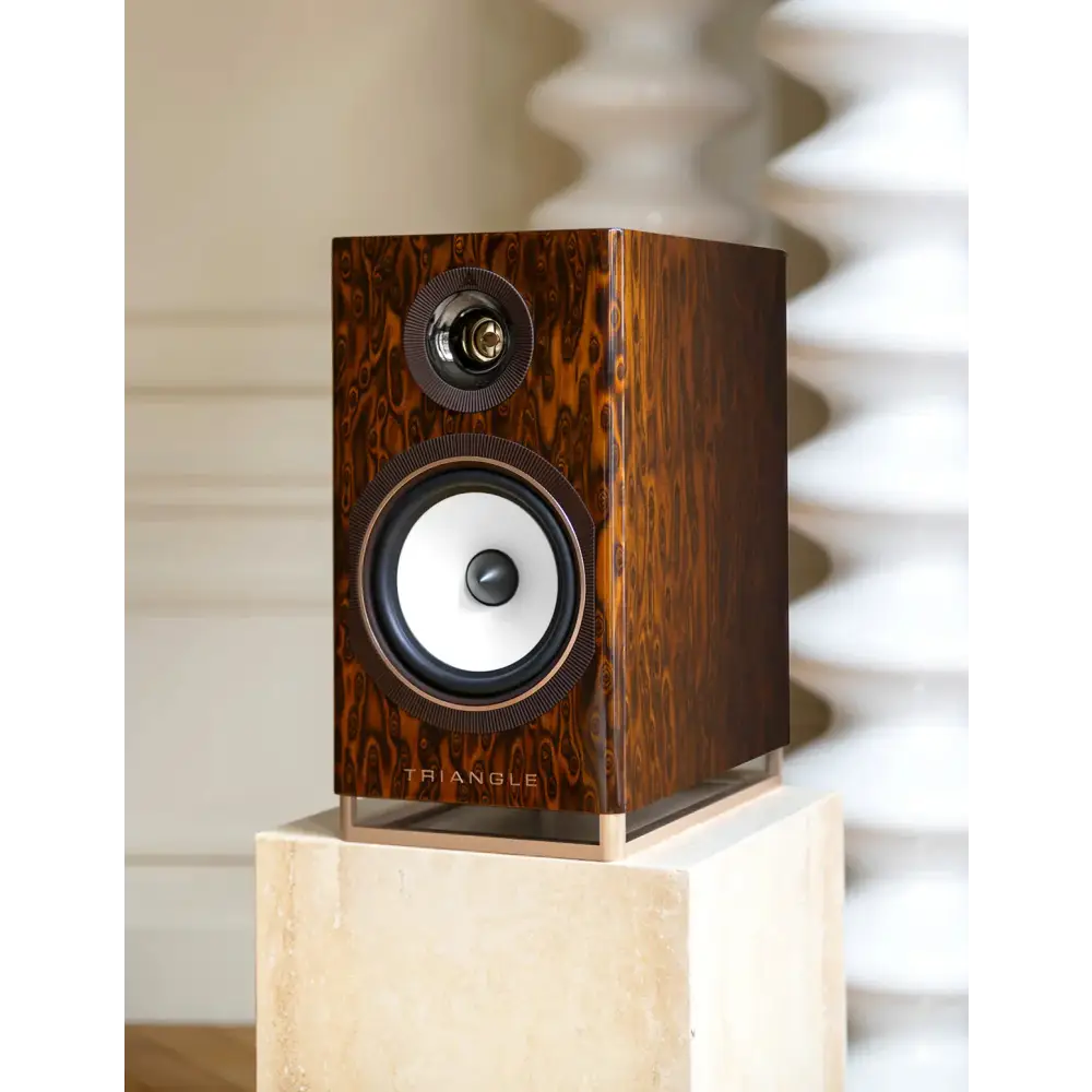 Triangle Bluetooth Lautsprecher TRIANGLE CAPELLA AKTIVSYSTEM komplett Paar