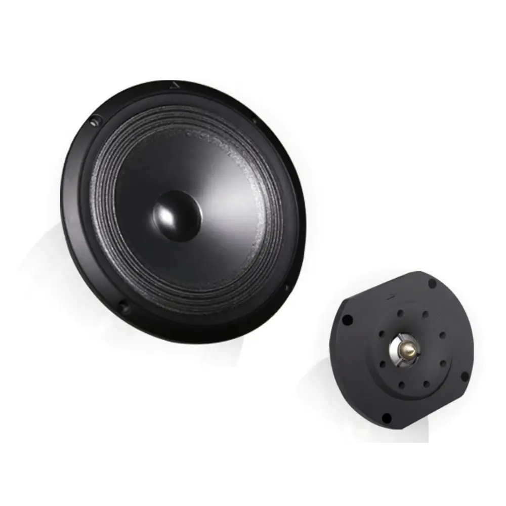 Schwarzer Lautsprecherkonus und Magneten für Topklasse Lautsprecher bezahlbar bei Triangle Celius 902