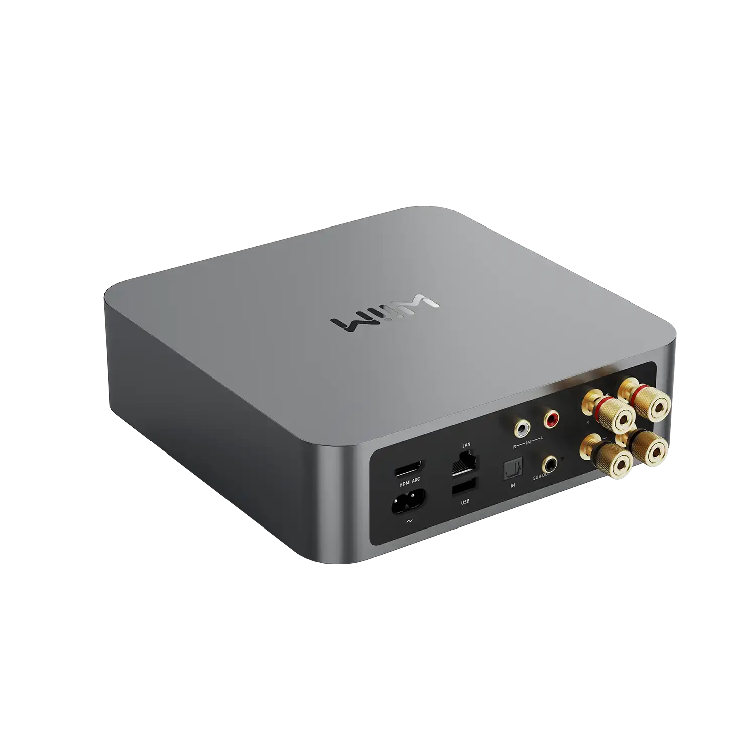 Wiim Amp PRO