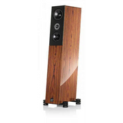 Audio Physic Lautsprecher AUDIO PHYSIC CODEX Paarpreis