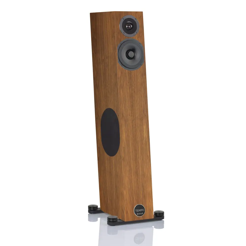 Audio Physic Tempo Paarpreis