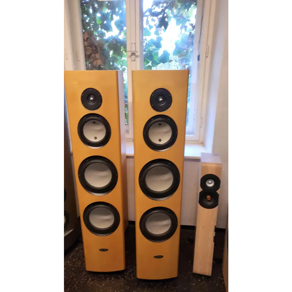 AYON AUDIO Austria AYon Eagle Paar