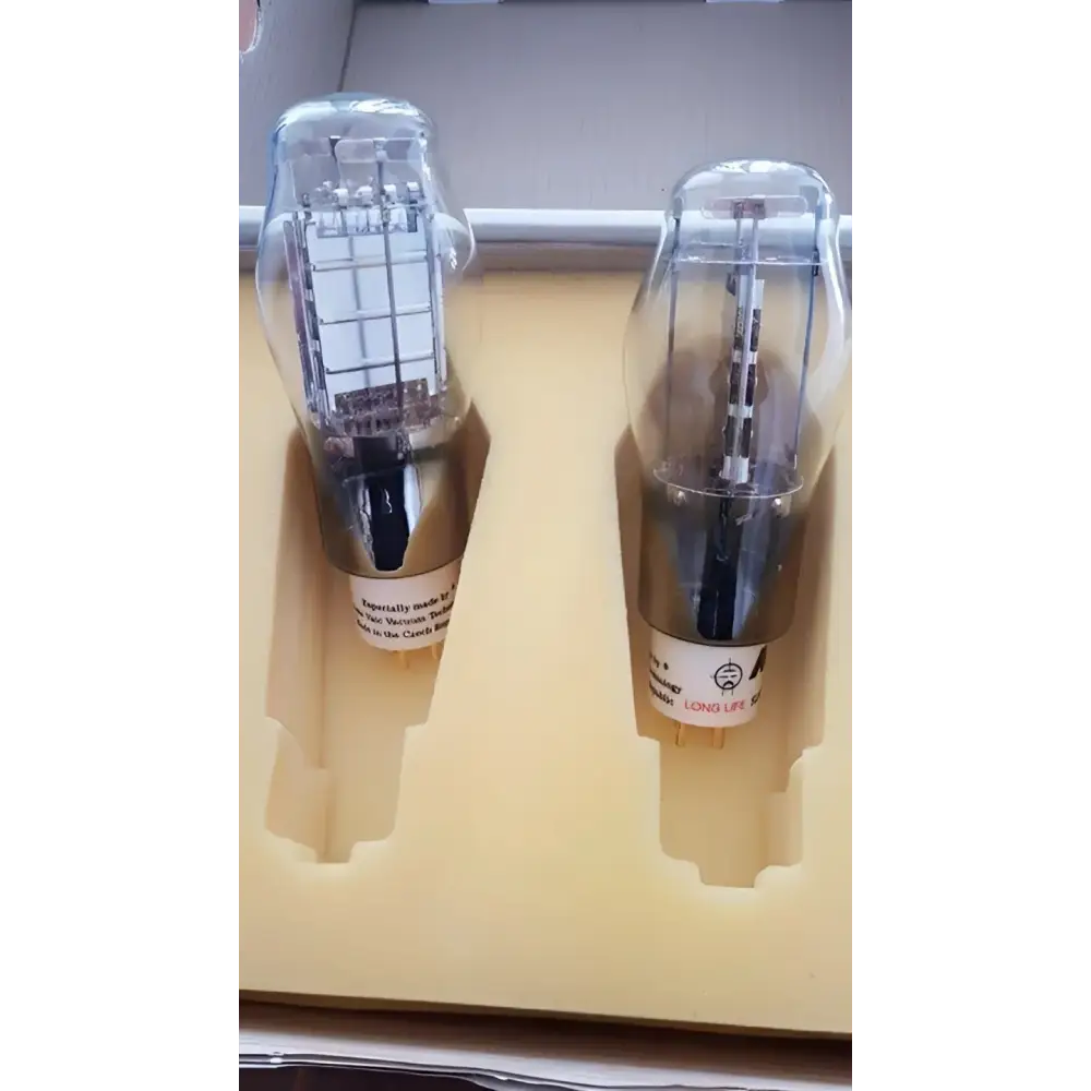 Zwei Vacuumröhren im Schutzschaum für Ayon Audio AV-8B Tube Röhre PAIR PAAR