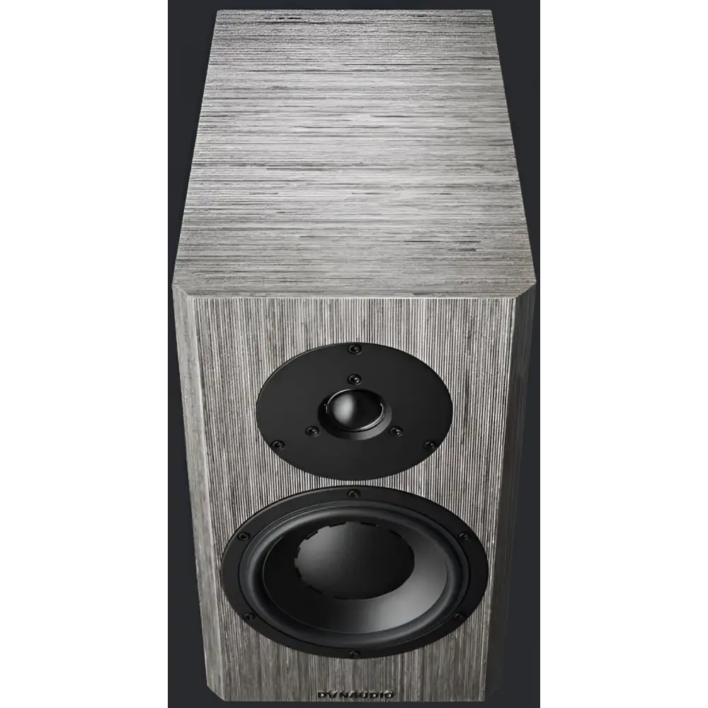 Gray Holzoptik Standlautsprecher Special Forty mit Tweeter und Woofer - What Hi-Fi