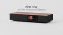 Cambridge Audio EVO 1 Allinone