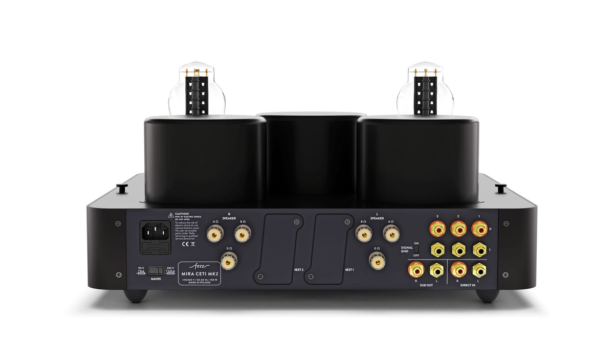Rückseite des Fezz Audio Mira Ceti MK II mit Eingängen, 4- und 8-Ohm-Klemmen und Modulsteckplätzen