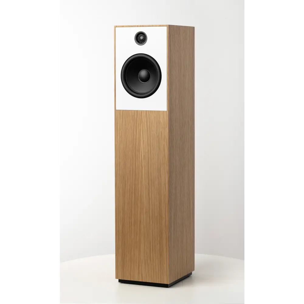 Guru 20