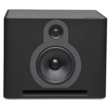 GURU Q10 Paar - hifiteam gratisversand in A und D
