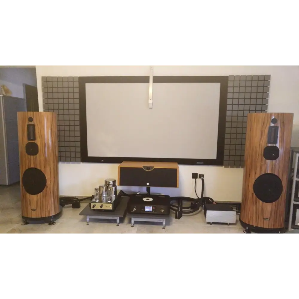 Hochwertiges Audiosystem mit großen Holzständerlautsprechern und Projektionsschirm, tollen photos verschiedener kundenanlagen