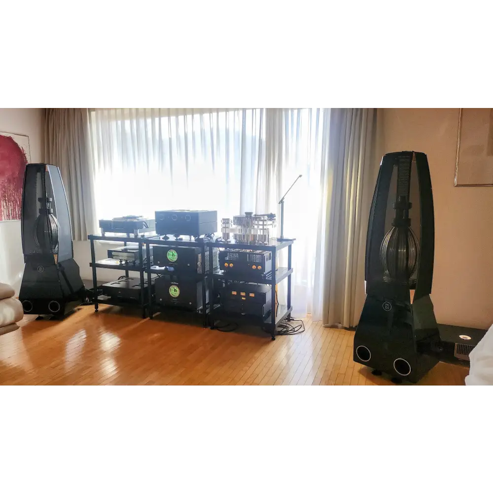 Hochwertiges Audiosystem mit schwarzen Lautsprechern in tollen Photos verschiedener Kundenanlagen