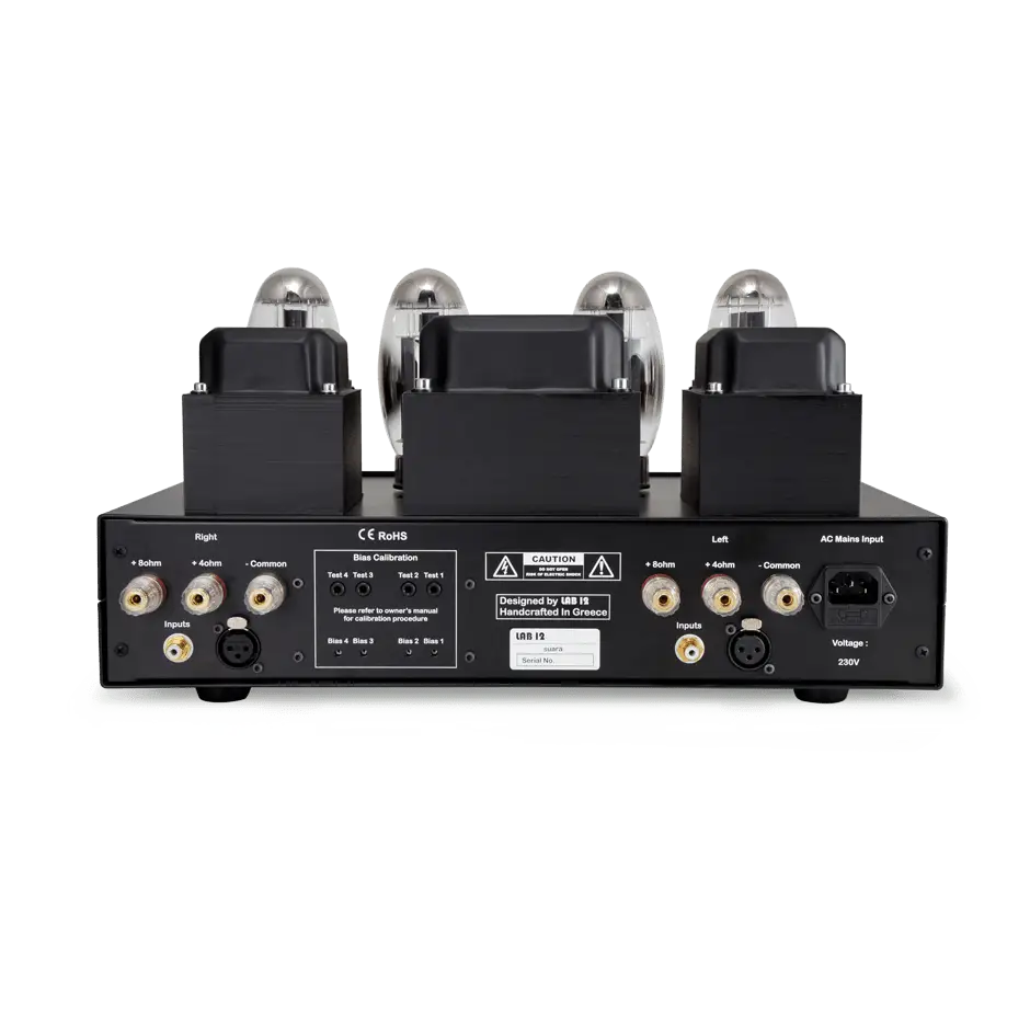 Black LAB 12 Suara Endstufe Silber secondhand mit Audio Grade Ultra Linear Power Amplifier