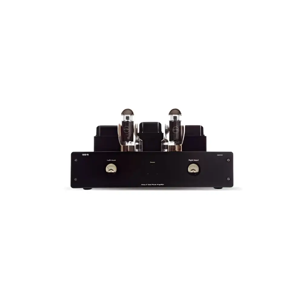 Blackes Röhrenverstärkerbild mit zwei sichtbaren 6N2P Vacuum tubes für Lab 12 Suono MK2 Hifiteam Edition