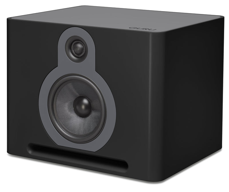 guruproaudio Lautsprecher GURU Q10  Paar