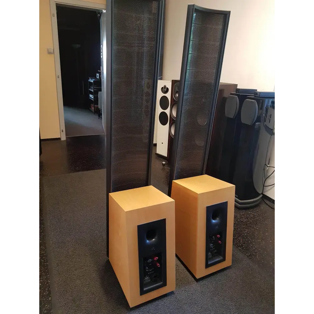 Martin Logan Martin Logan Vista secondhand