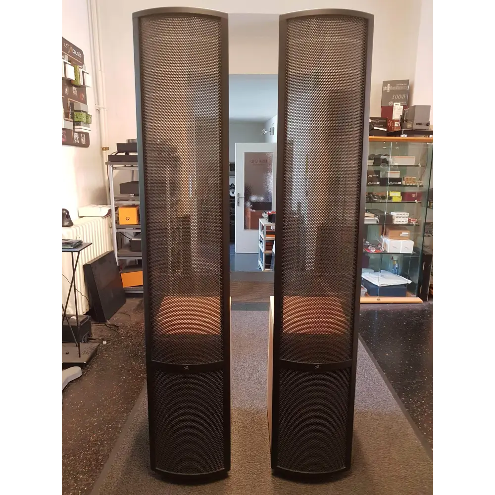 Martin Logan Martin Logan Vista secondhand
