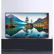 Metz TV METZ 55MOC9001Z 55 OLED