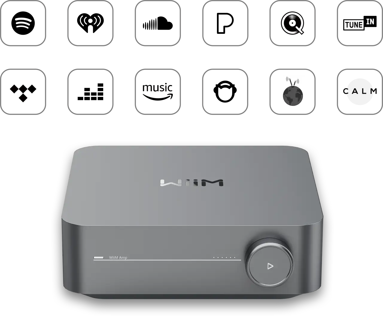 Wiim Amp PRO