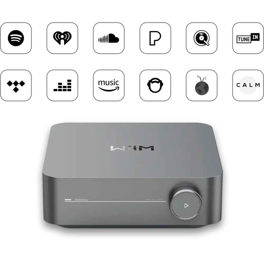 Hifiteam Czesany GmbH - home entertainment for you -  Wiim Amp