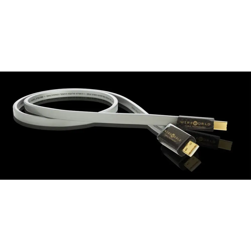 Hochwertiges Light-Graues Wireworld Platinium Starlight USB 2.0 A-B Kabel