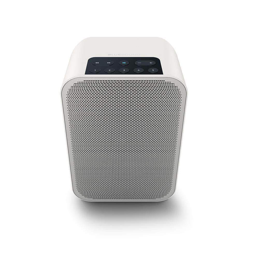 Bluesound All-In-One mit Lautsprecher Bluesound Flex 2i allinone