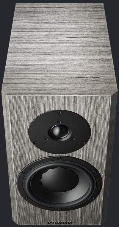 dynaudio Lautsprecher birke grau Dynaudio Special 40