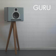 guruproaudio Lautsprecher GURU Q10  Paar