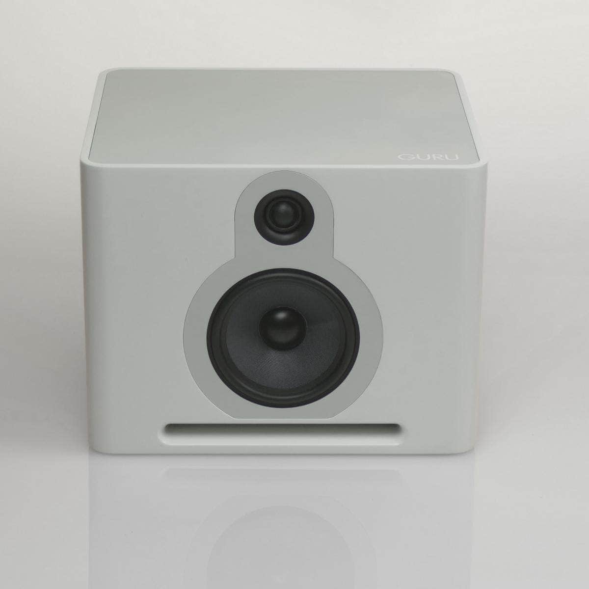 guruproaudio Lautsprecher white Paar GURU Q10  Paar