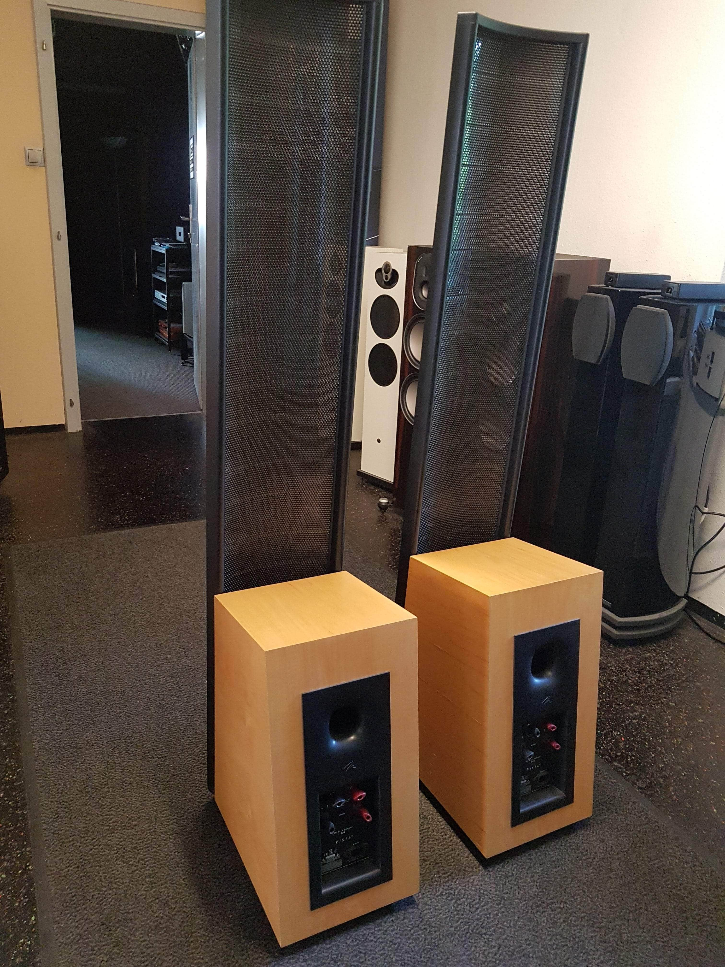 Martin logan hot sale esl vista